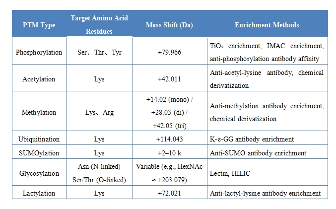 Protein Ptm Types: Quick Guide To Post-Translational Modifications