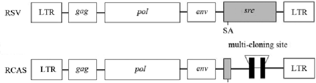Rcas Tva Eric Holland: A Definitive Guide To Mastering Its Features