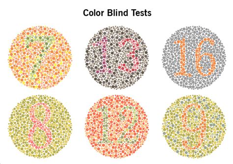 Revert Blindness Testing