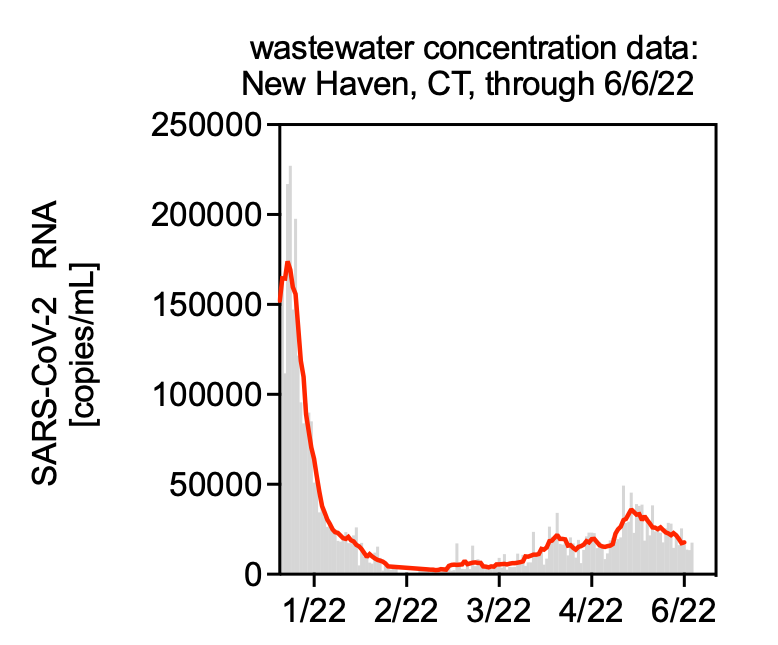 The Future Of Richard Martinello Jordan Peccia: Shaping New Horizons