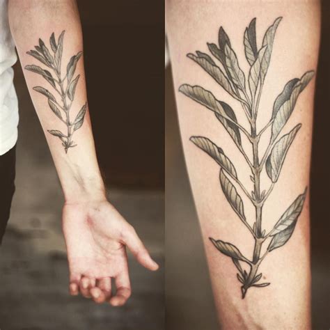 Sage Tattoo Ideas At Charles Blalock Blog