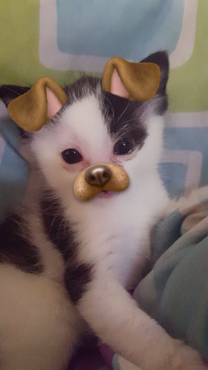 Salice Rose On Twitter Amp Quot Road Trip Https T Co Vbdgrlvav8 Amp Quot Twitter