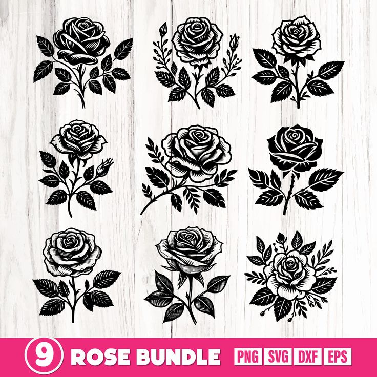 Set Of Eight Cute Roses Svg Rose Svg Rose Cut File Rosebud Etsy Artofit