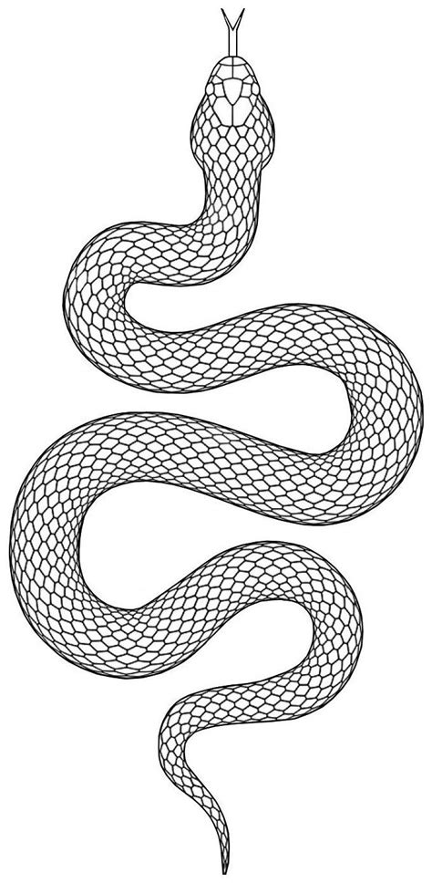 Snake Tattoo Template Printable And Enjoyable Learning