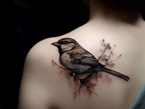 Sparrow Bird Tattoo Meaning Symbolism And Inspirations Astylish Fashion