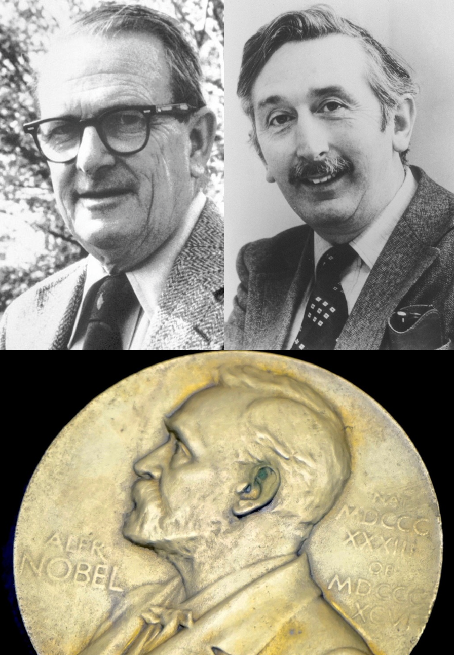 Mastering Stfc Astrometrics Scan History For Explorers