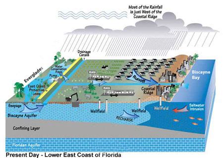 Storm Water Division City Of West Miami