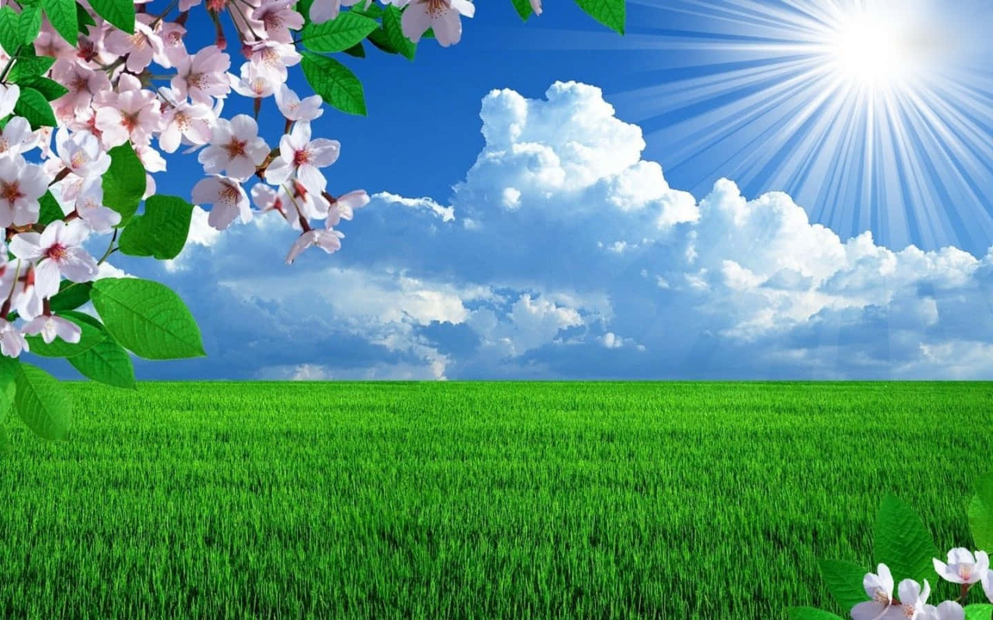 Sunny Day Wallpapers Top Free Sunny Day Backgrounds Wallpaperaccess