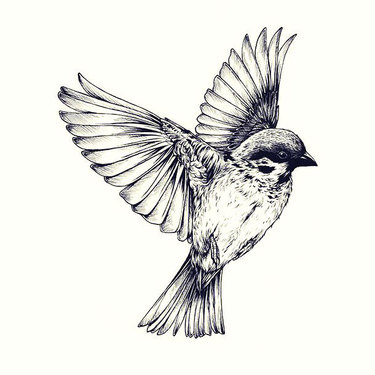 Tattoo Designs Sparrow
