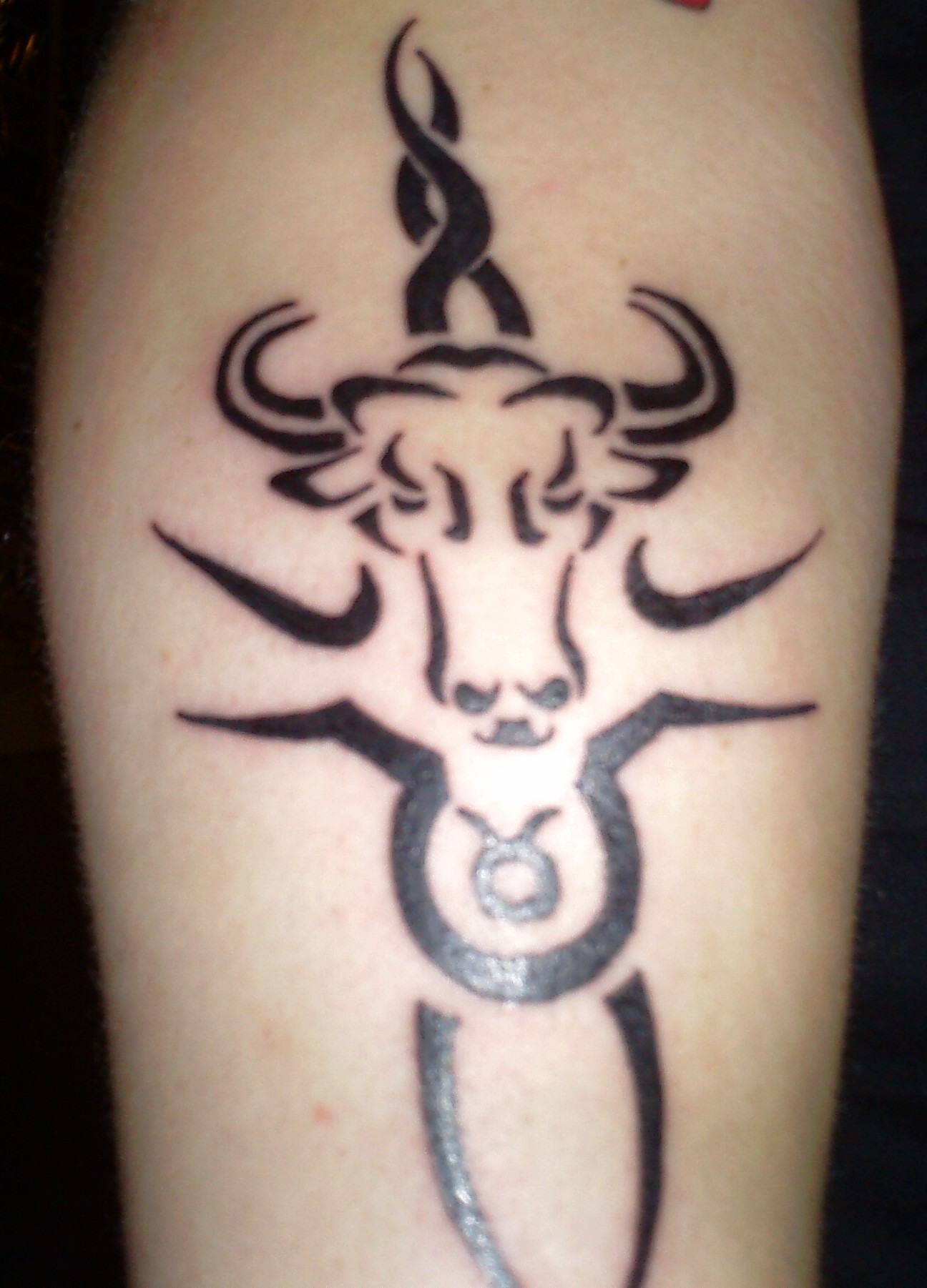 Taurus Tattoos For Men