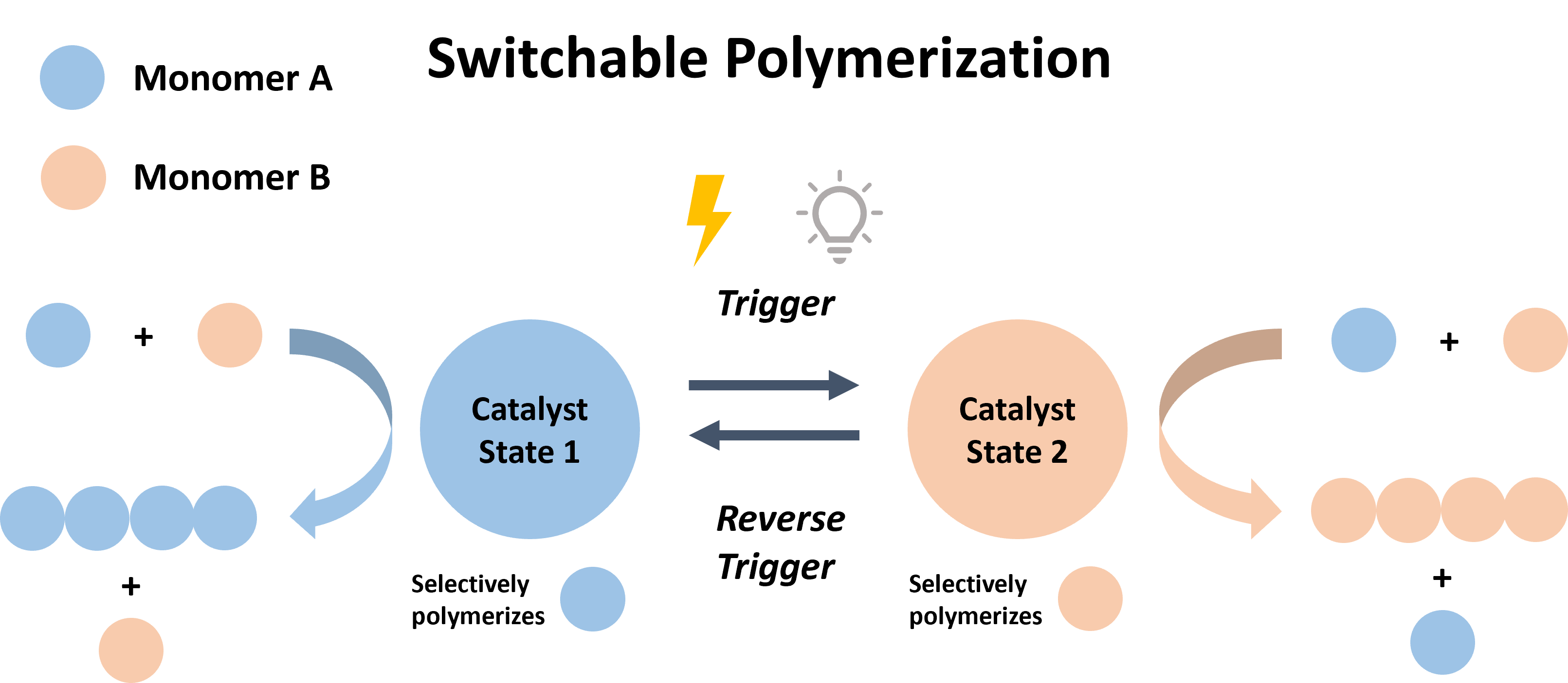 Tempo Synthesis Characterization And Catalysis An Integrated Upper Division Laboratory Journal Of Chemical Education