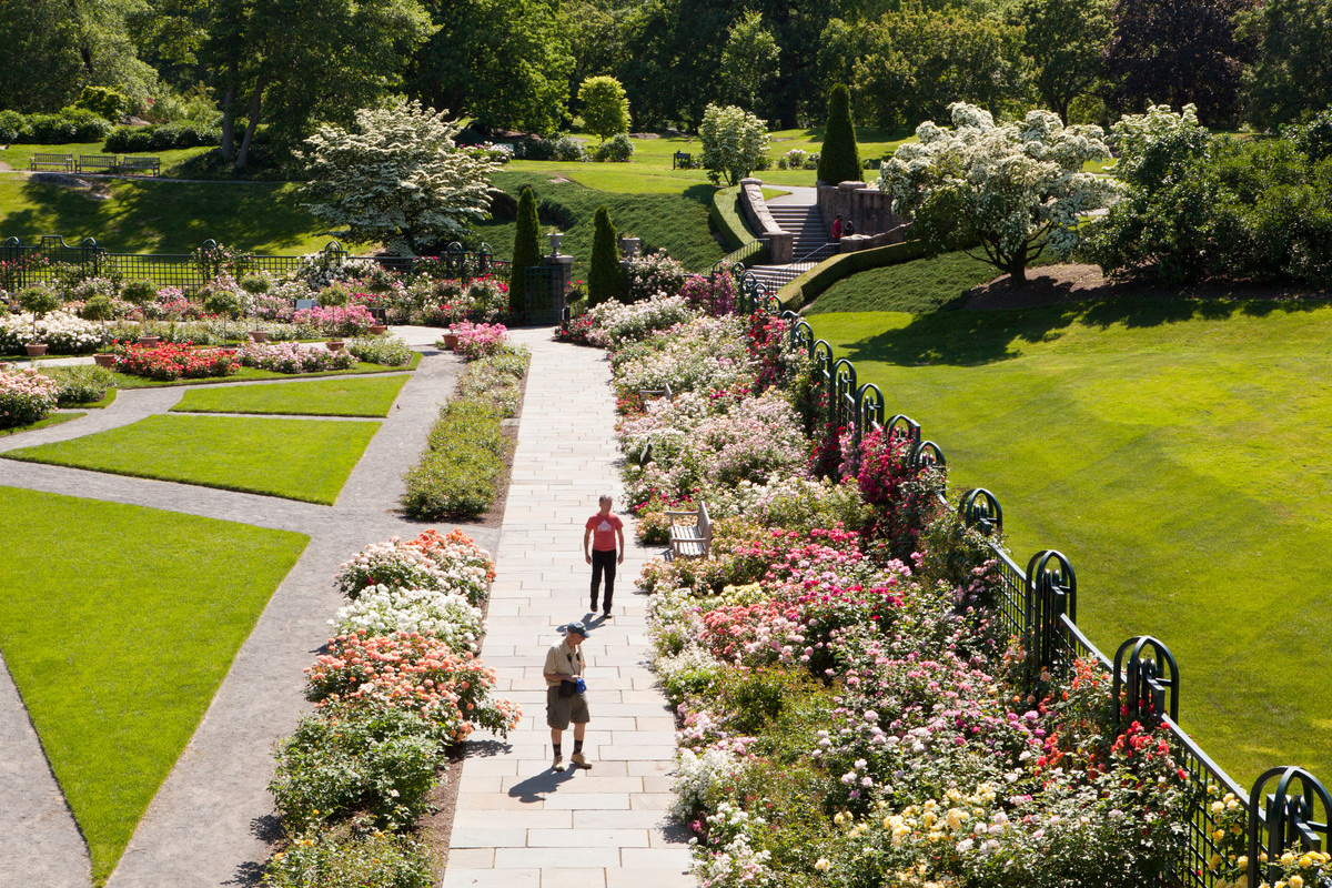The Rose Garden Spring Classic Plant Talk