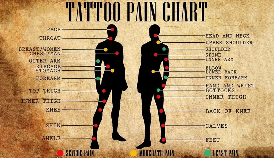 Threshold Body Tattoo Pain Chart Tattoo Pain Chart Tattooing 101