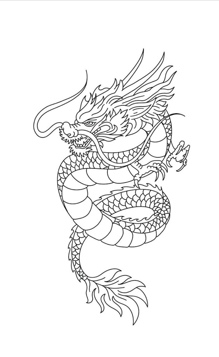 Traditional Dragon Tattoo Neo Traditional Dragon Tattoo See More Traditional Dragon Tattoo Neo Traditional Dragon Tattoo See More